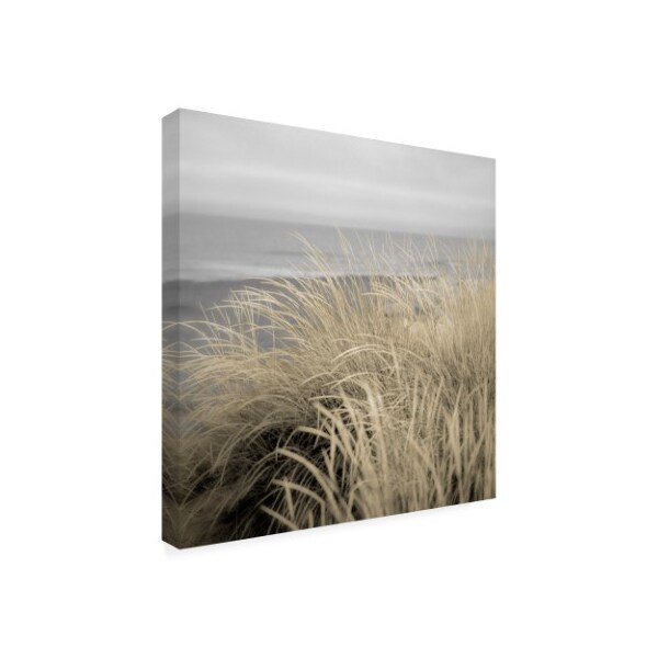 Alan Blaustein 'Tuscan Dunes #2A' Canvas Art,35x35